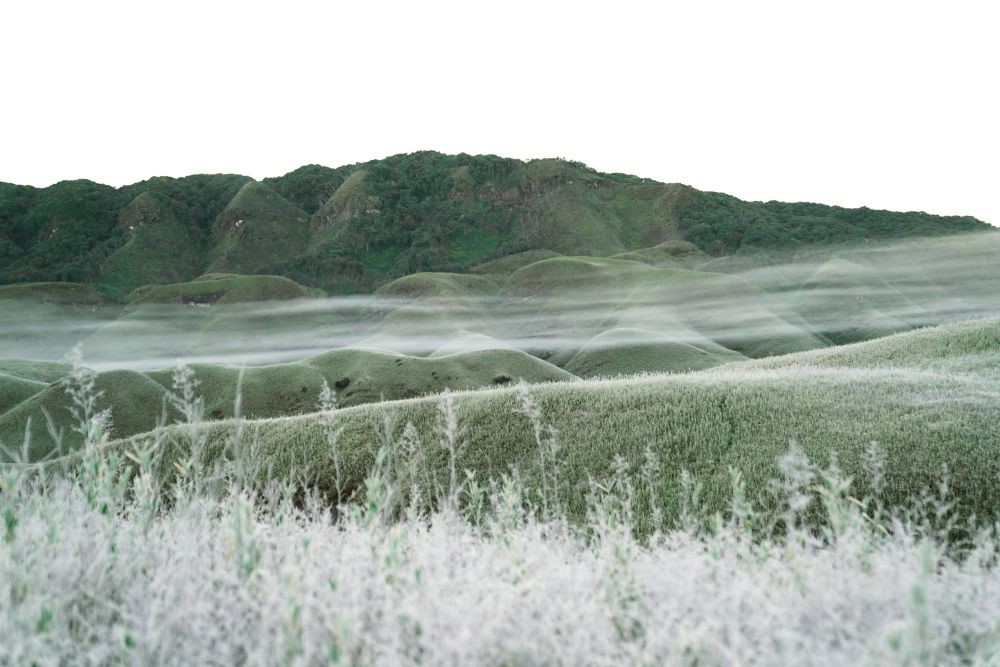 A view of the Dzükou valley where a forest fire raged recently. Photo courtesy: Vikepe Yhokha